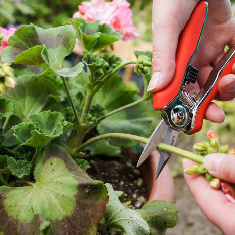 Connex trimmer scissors mini box - flor70368