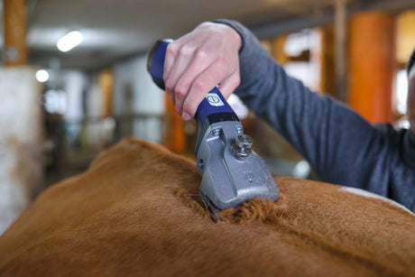 Aesculap Econom Batterie Raséierapparat Aesculap Bonum Pro 1 Batterie Blo