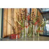 Hakbijl glass cylinder vase glass ø12xh25cm