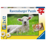 Ravensburger puzzle farm animals 2x12 pieces