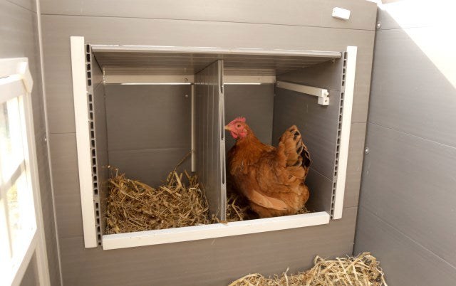 Chicken coop eco stable plastic barney