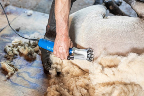 Aesculap econom products shearing machine econom nova 200 watt sheep