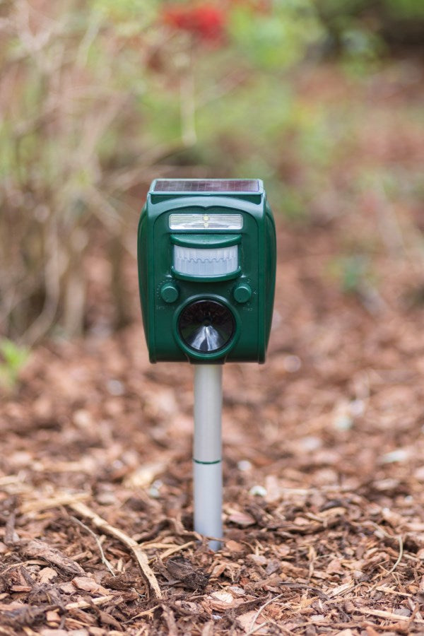 Déier Repeller sonic Flash Solarenergie