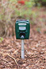 Déier Repeller sonic Flash Solarenergie