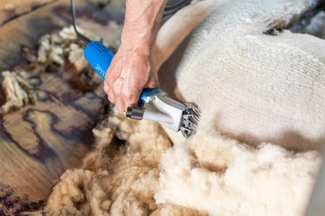 Aesculap econom products shearing machine econom nova 200 watt sheep