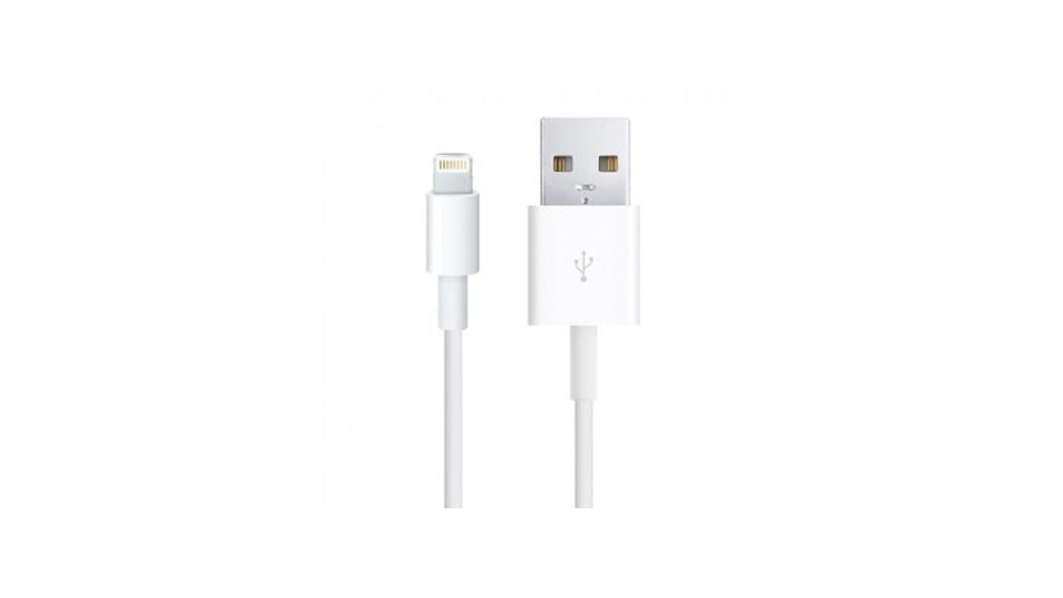 Apple M127994 Câble de données Lightning MD819ZM A (200 cm)