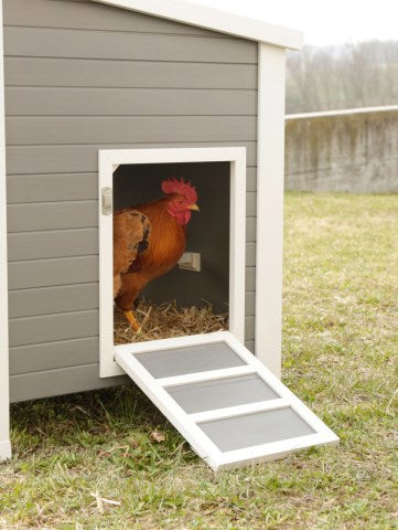 Chicken coop eco stable plastic barney