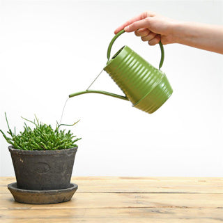 Esschert design