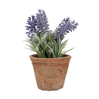Lavender sa phota | 3 phíosa