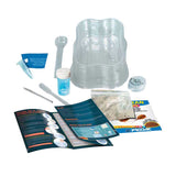 Clementoni science toy - grow triops