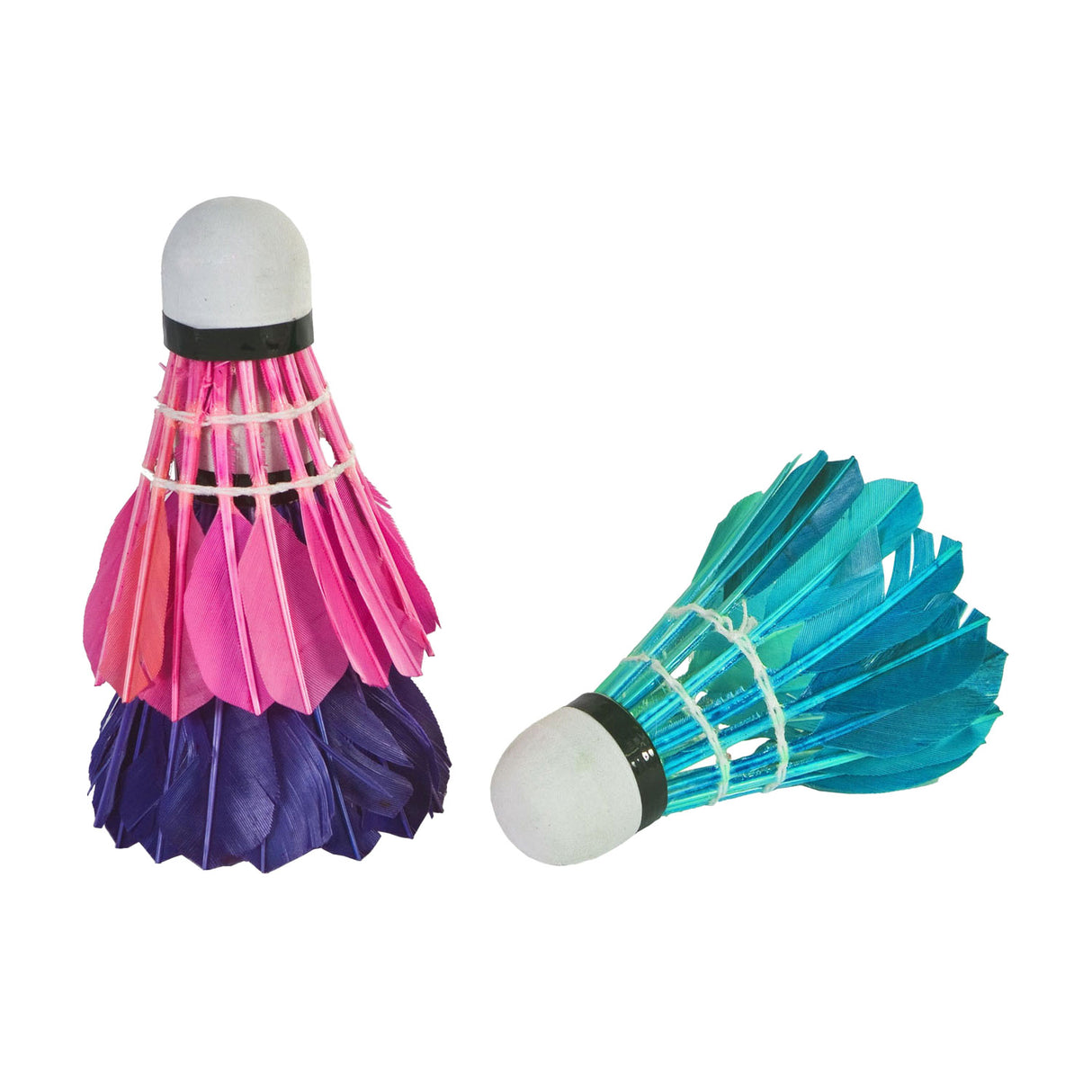 Sportx Feather Navettes dans le tube 3 pièces Verre Purple Green