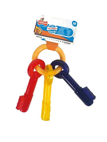 Nylabone Puppy Chew Bite Keys Bacs Aroma