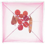 Fly screen 45 x 45 cm 4 assorted colours