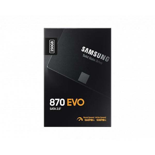 Samsung Samsung 870 EVO, 500 GB