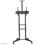 Neomunts neomtose f50-550blbo Mobile Buedem stand incl. Avandam Regal, 30 70 Zoll, 50 kg