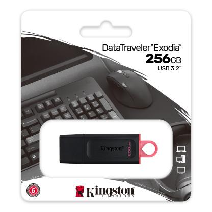 Kingston DataTraveler Exedia 256 GB