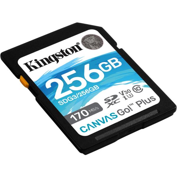 Kingston Canvas Go! Plus sdxc 256 Go