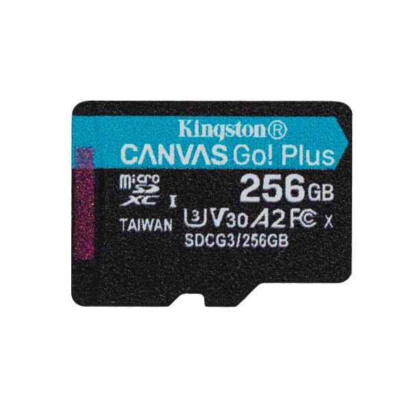 Kingston Canvas Go! Plus microsdxc 256 Go