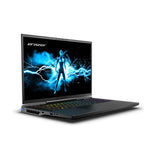 Erazer 30037597 Beast X40, MD62613 Intel I9, 17, 2560 x 1600 pixels, 32 GB, 2 TB, W11H