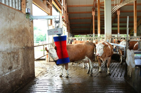 Produkter happycow Kéi Pinsel maxiswing