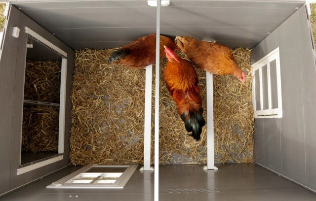Chicken coop eco stable plastic barney
