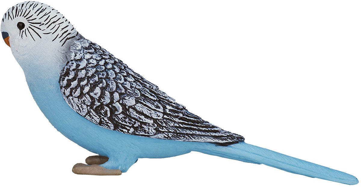 Mojo Ackerland Budgerigar Blue - 387292