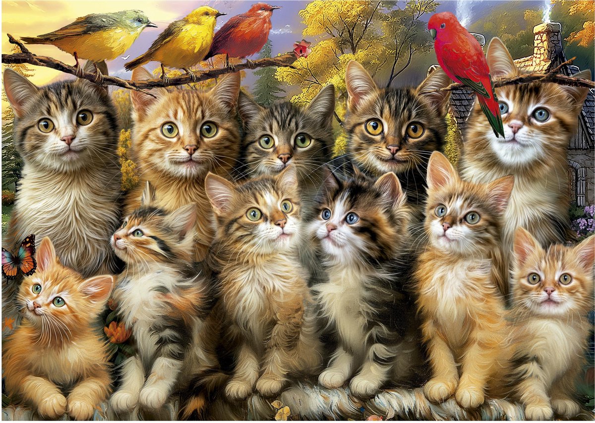 Educa jigsaw puzzle cats and birds 500 pieces animal puzzle.