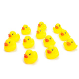 Duckiez Mini Rubber Ducks, 12: e.