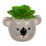 Ootb succulent an Dëppen, Sloth oder Koala