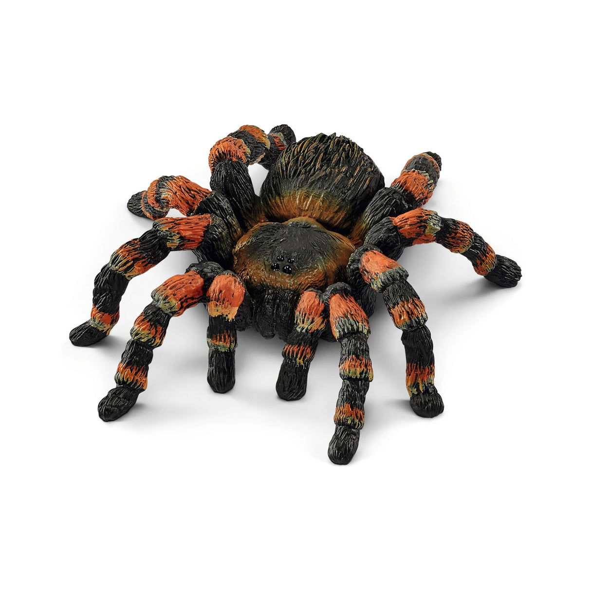Dzikie życie Schleicha - tarantula - 14829