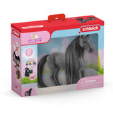 SCHLEICH HORSKLUB SCHEIBUNG HOSS CRIOLLO definitivo Mare 42581