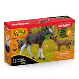 Schleich WILDLIFE Eland met Kalf 42603