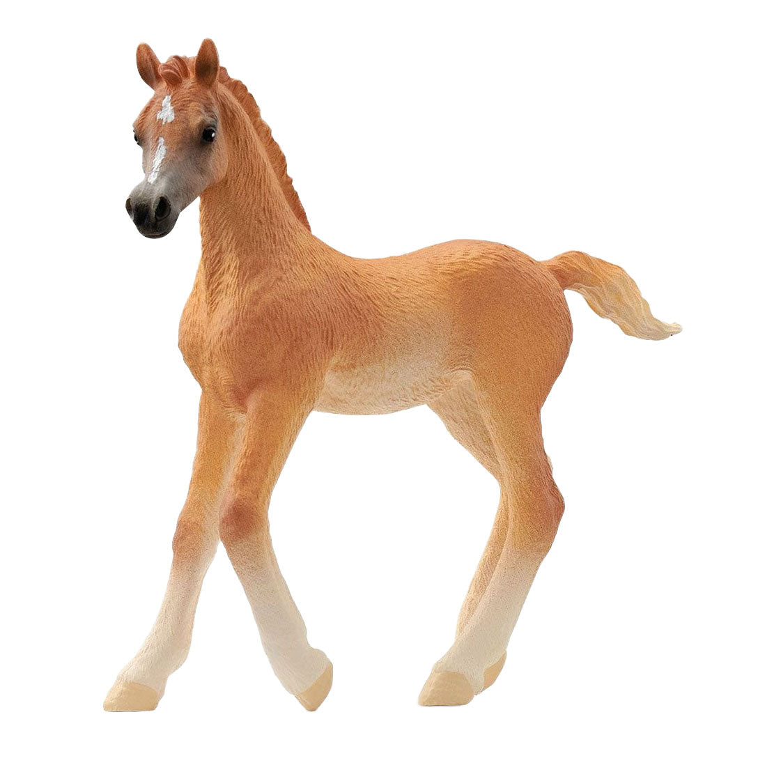 Schleich Horse Club árabe Veulen 13984