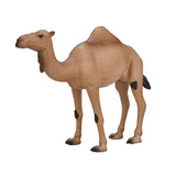 Mojo Wildlife Arab Arab Camel 387113