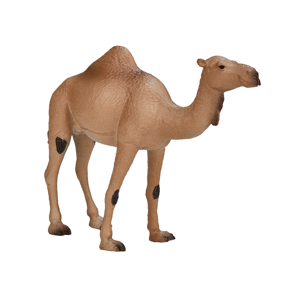 Mojo Wildlife Arab Arab Camel 387113