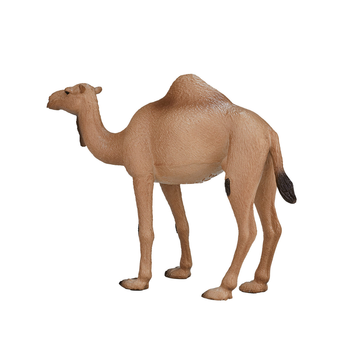 Mojo Wildlife Arab Arab Camel 387113