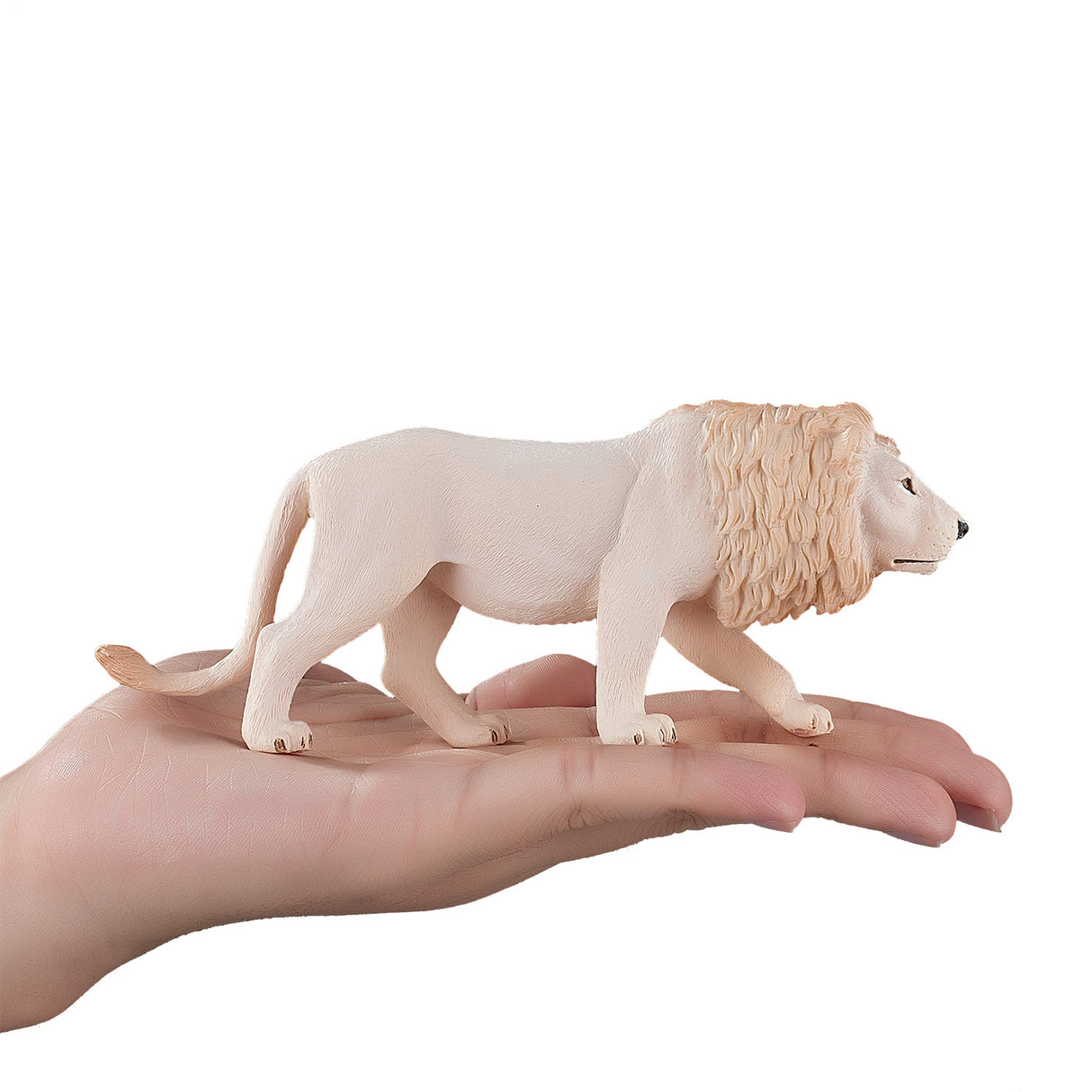 Mojo divjad White Lion 387206