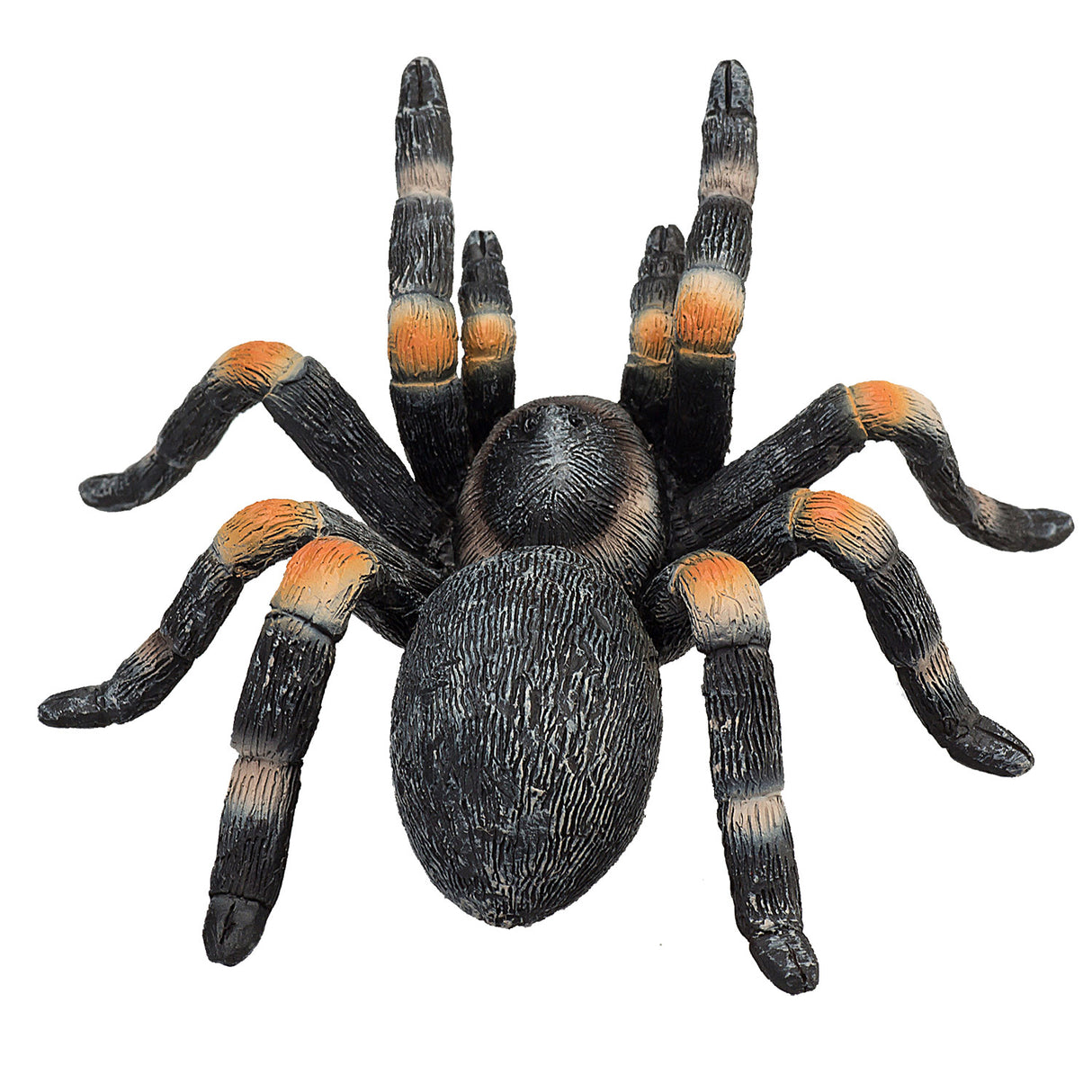 Mojo faune Tarantula 387213