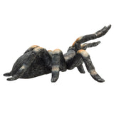 Mojo faune Tarantula 387213