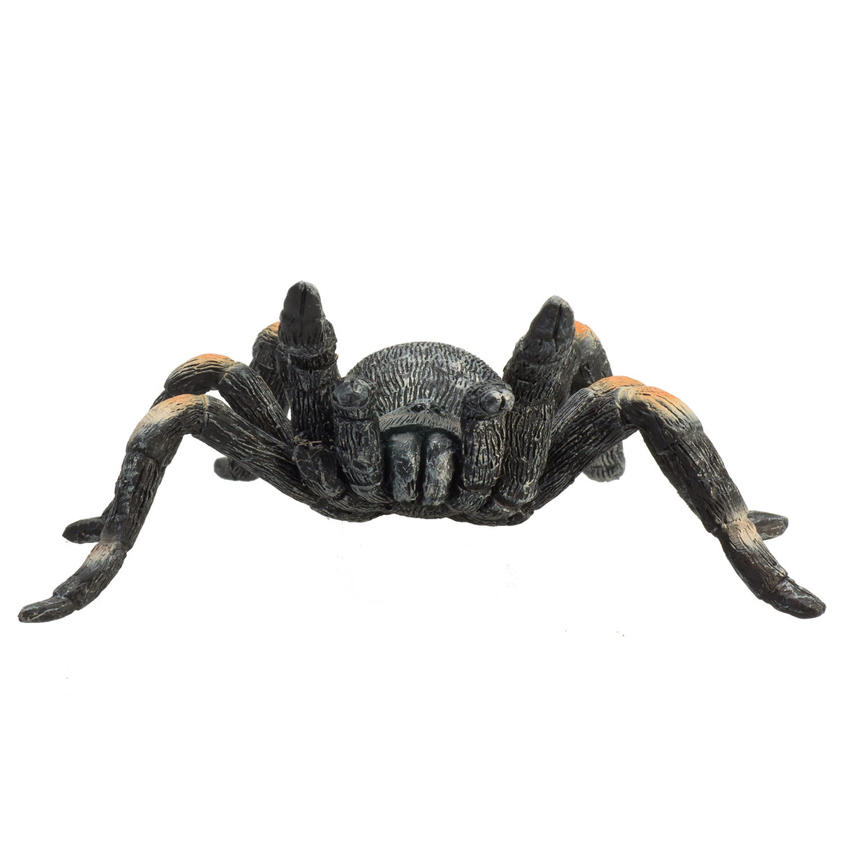 Mojo faune Tarantula 387213