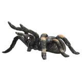 Mojo Wildlife Rode Tarantula 387213