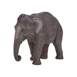 Mojo Wildlife Asia Elephant 387266