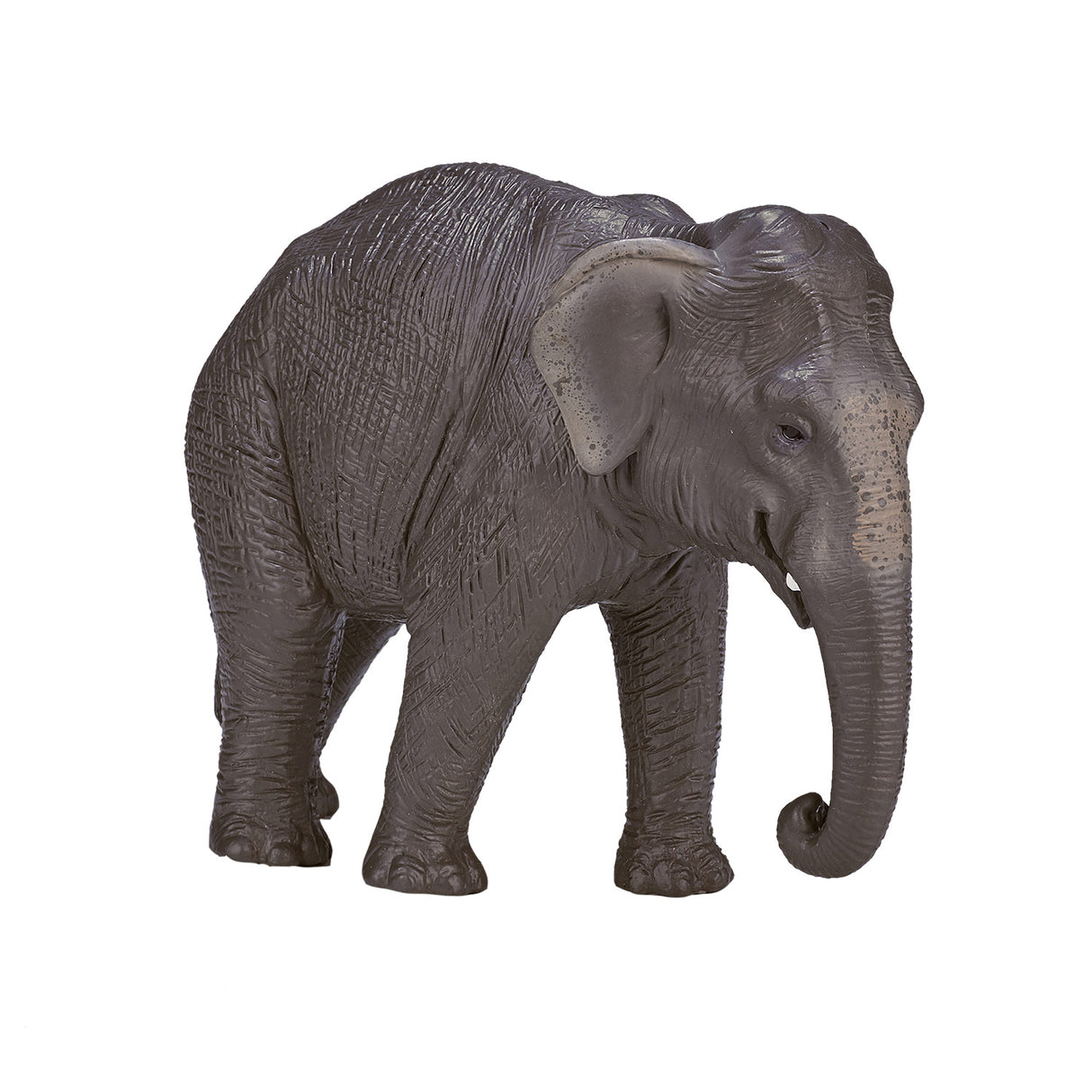 Mojo Wildlife Asia Elephant 387266