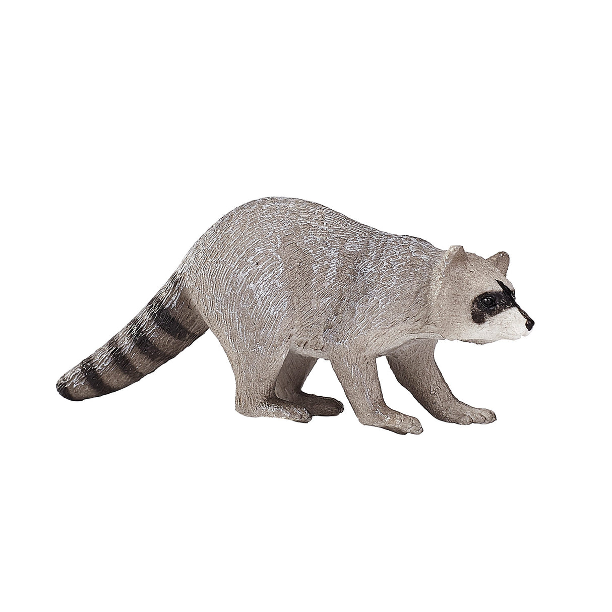 Mojo wildlife Raccoon 387159