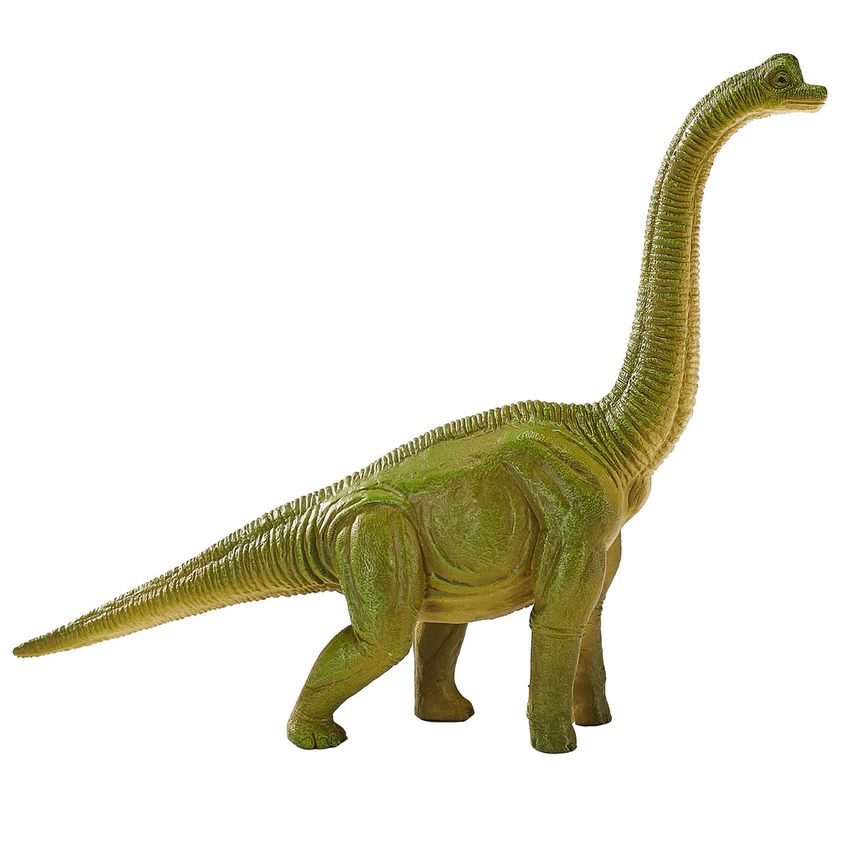 Mojo forhistorie Brachiosaurus 387212