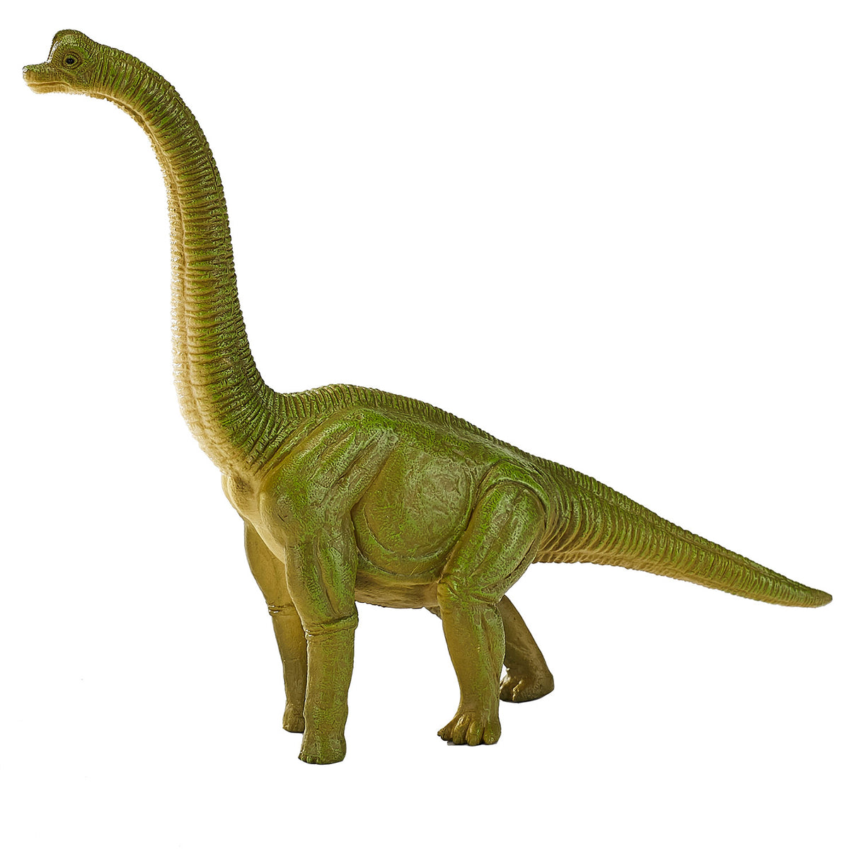 Mojo Prehistory Brachiosaurus 387212