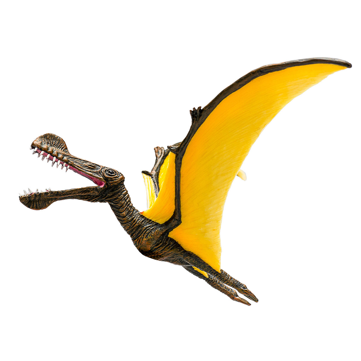 Préhistory mojo Tropeognathus 387375