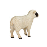 MOJO FARMAND BLACK SHEEP OOI 387058