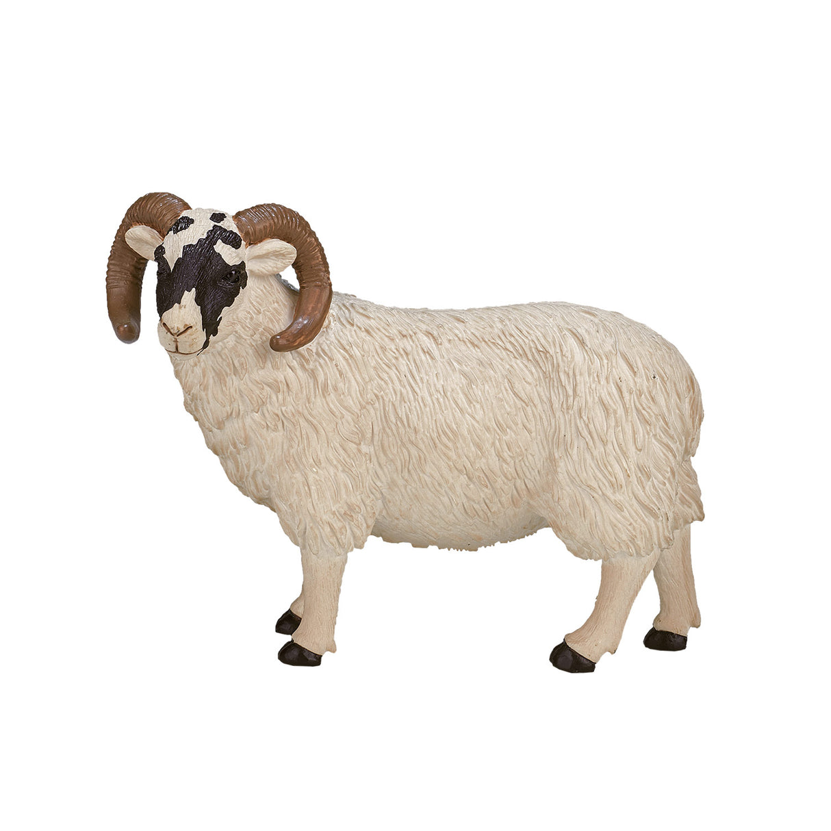 Mojo Ackerland Black Sheep Ram 387081