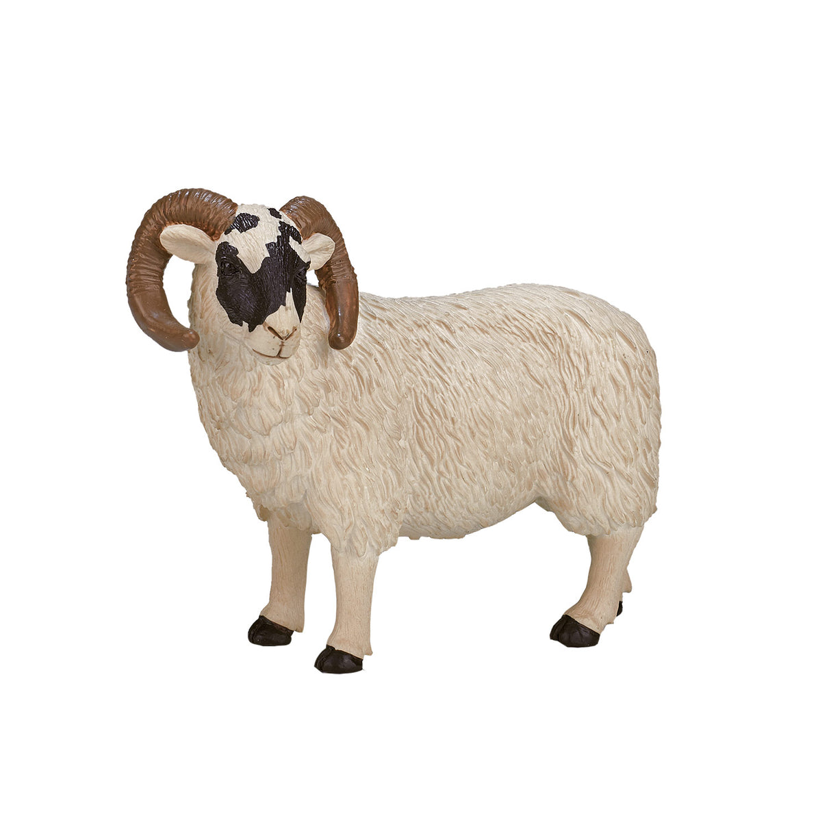 Mojo Ackerland Black Sheep Ram 387081